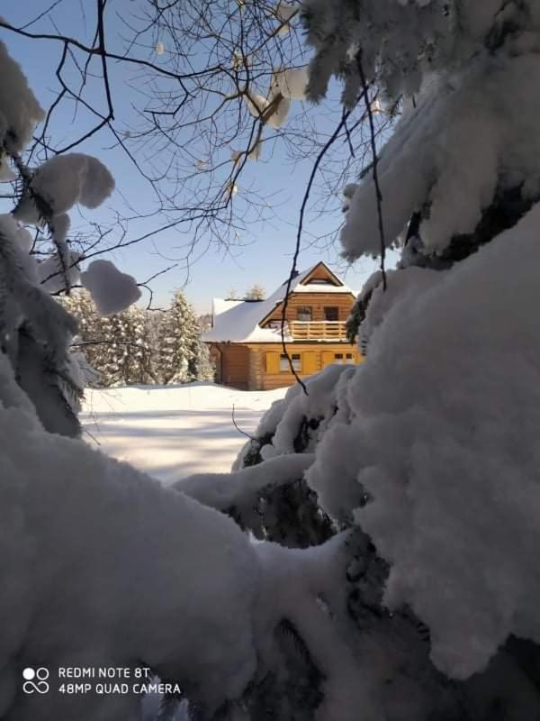 Gosciniec Dziubasowki Villa Nowy Targ Bagian luar foto