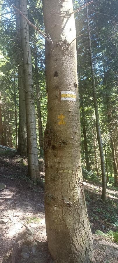 Gosciniec Dziubasowki Villa Nowy Targ Bagian luar foto