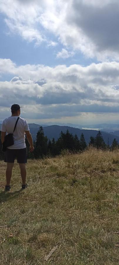 Gosciniec Dziubasowki Villa Nowy Targ Bagian luar foto