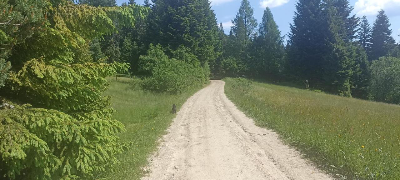 Gosciniec Dziubasowki Villa Nowy Targ Bagian luar foto