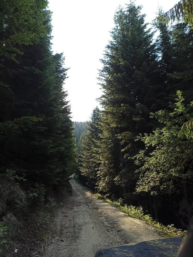 Gosciniec Dziubasowki Villa Nowy Targ Bagian luar foto