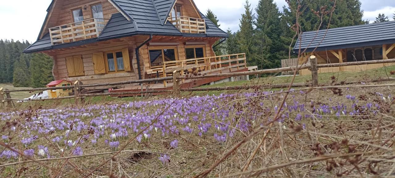 Gosciniec Dziubasowki Villa Nowy Targ Bagian luar foto